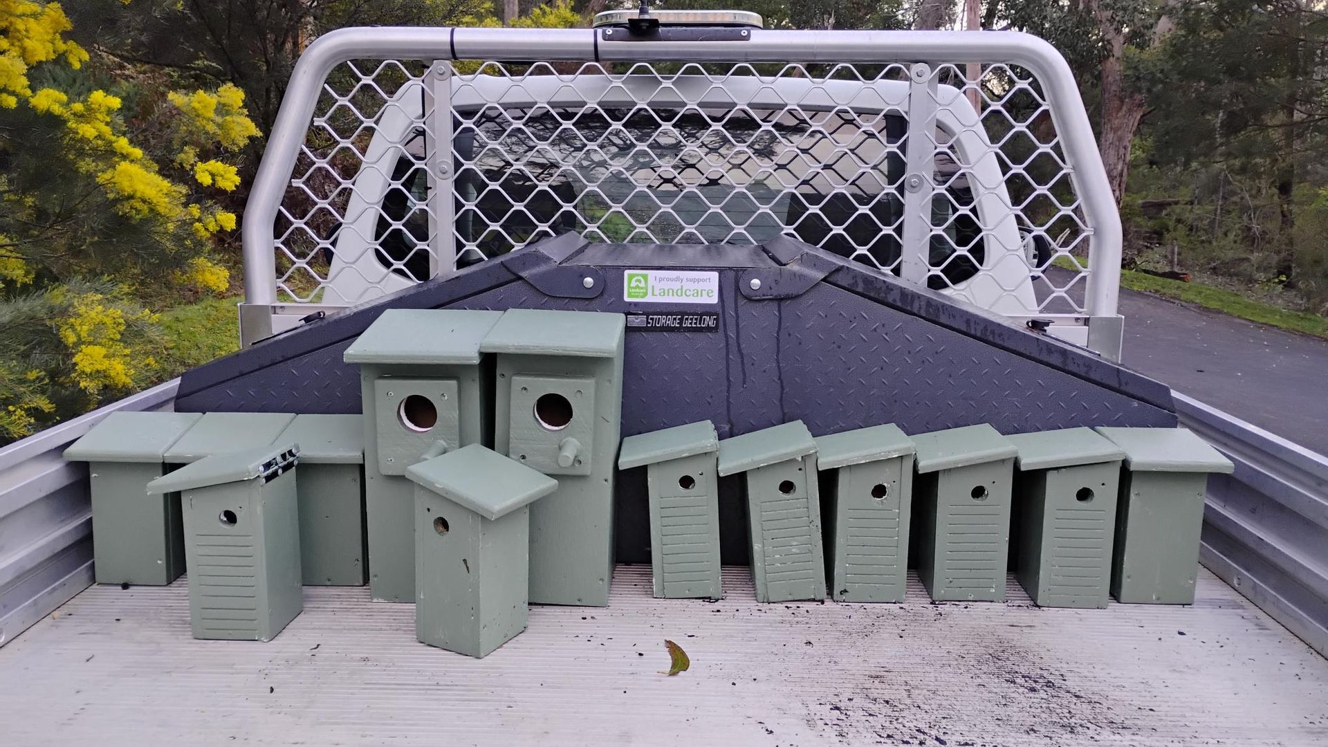 Nestbox workshop
