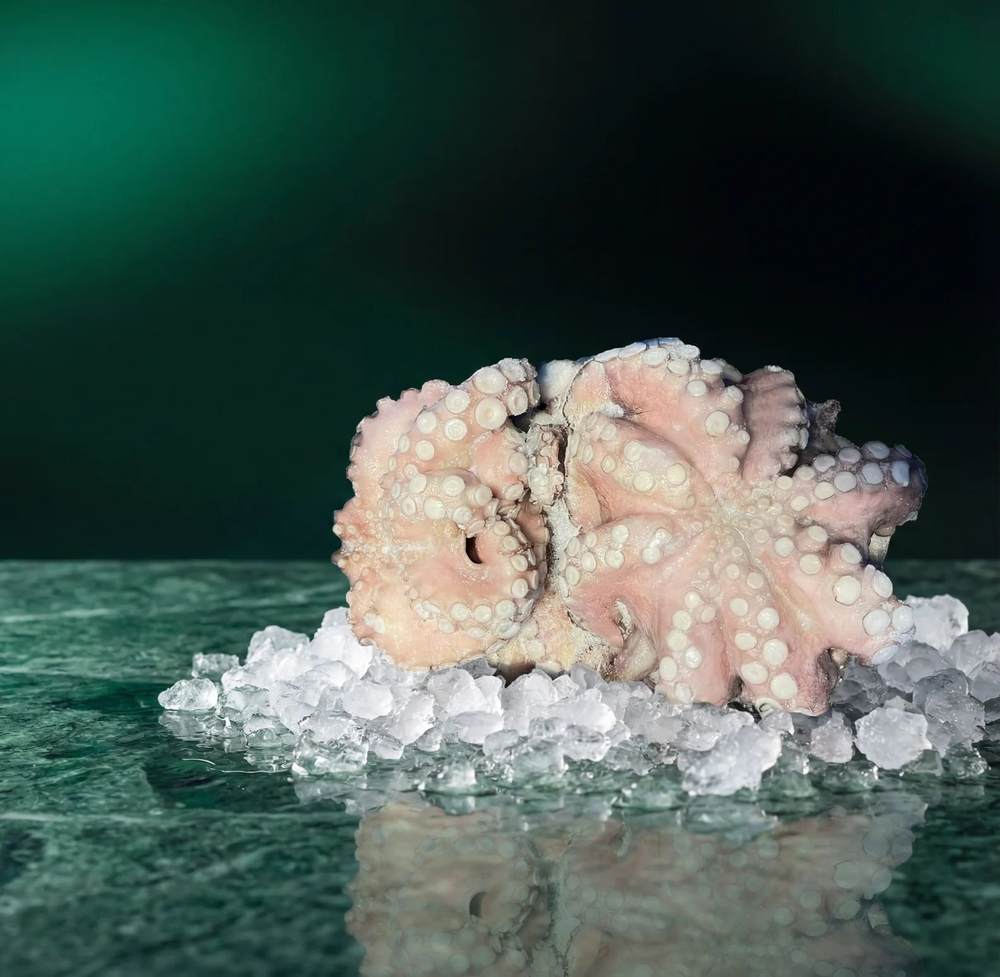 Distribuzione pesce surgelato