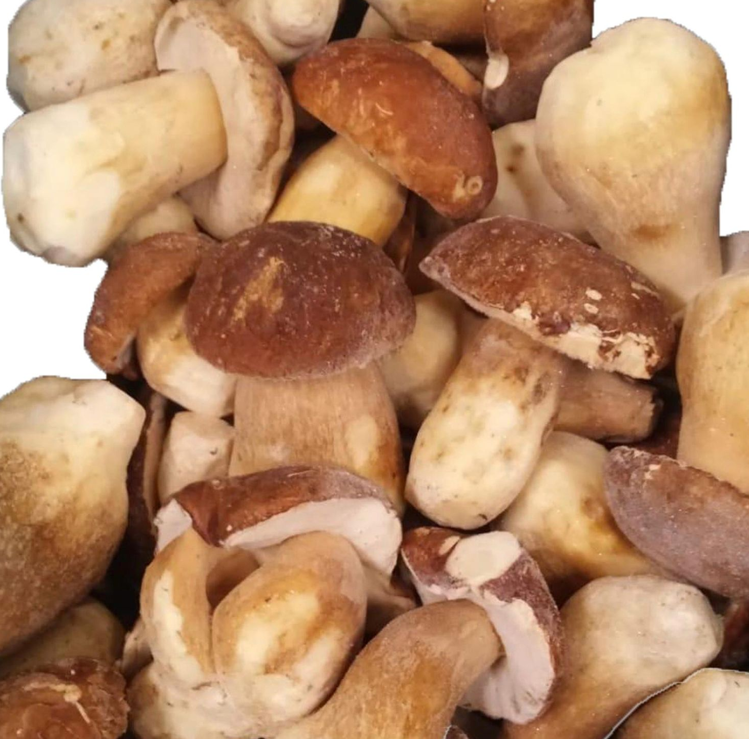 Distribuzione alimenti surgelati