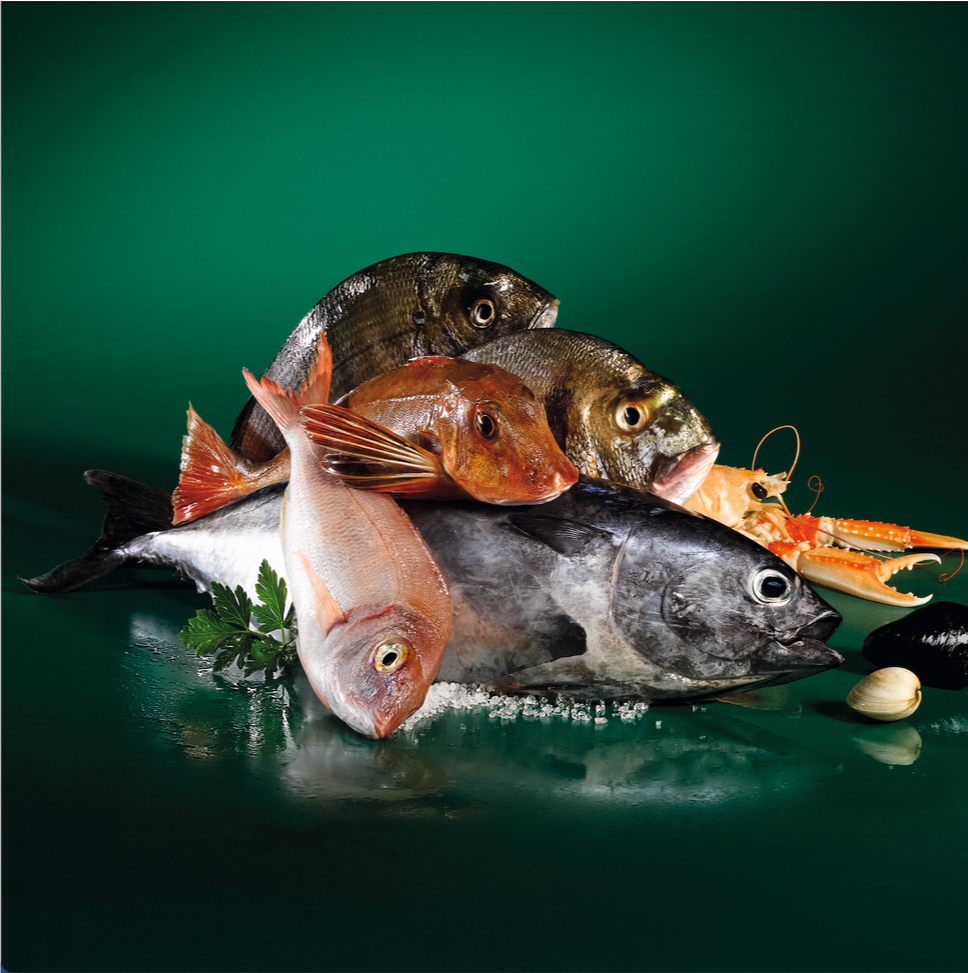 Distribuzione pesce all'ingrosso