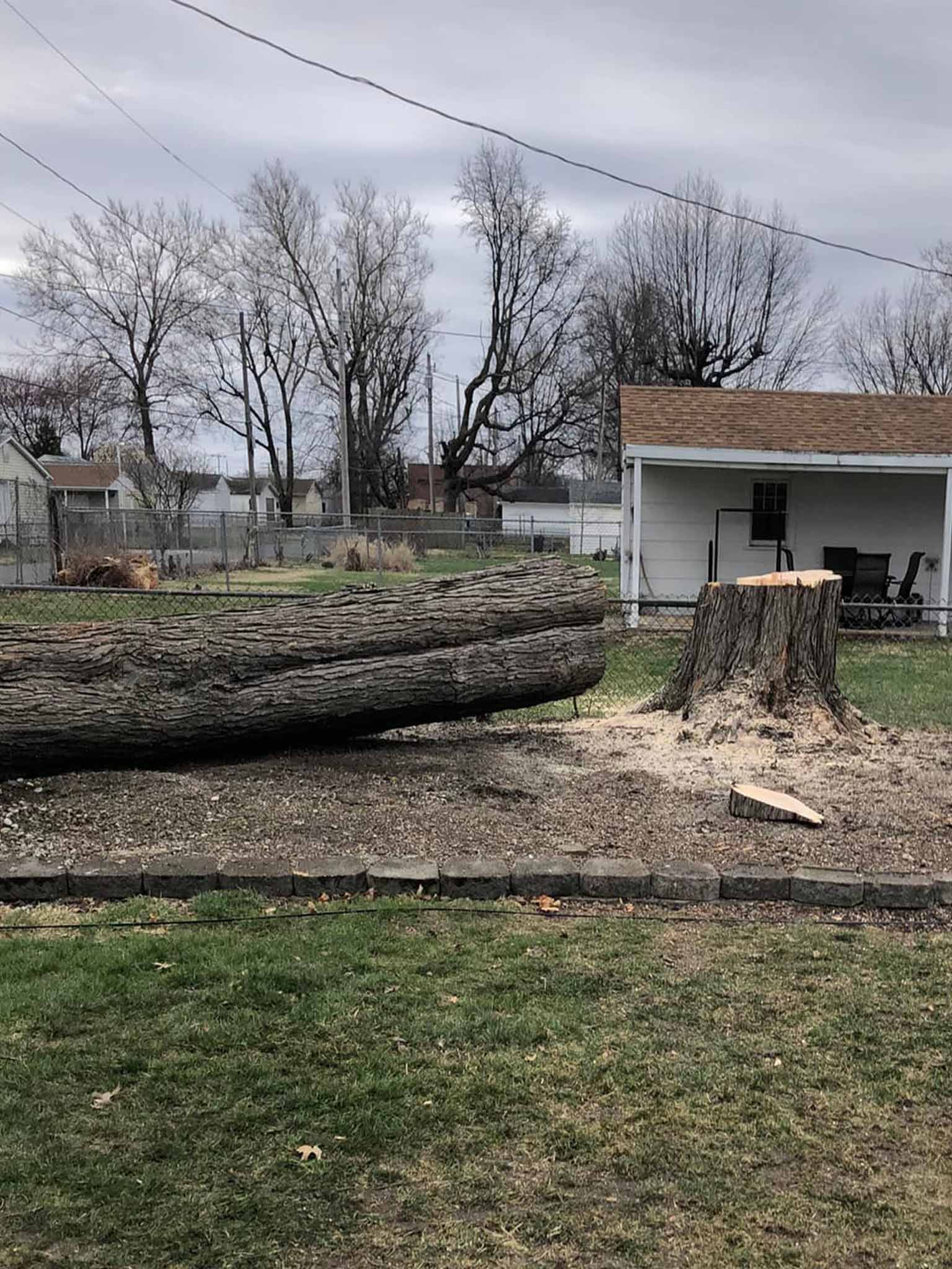 Tree Removal — Springfield, IL — Jeff Berkler Tree Service