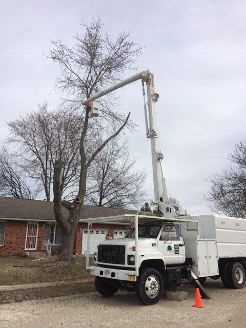 Truck Lifting Tree Logs — Springfield, IL — Jeff Berkler Tree Service