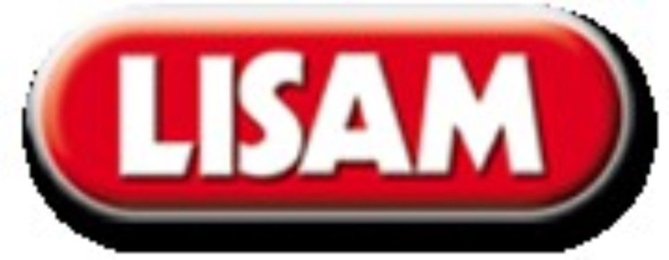 Lisam logo