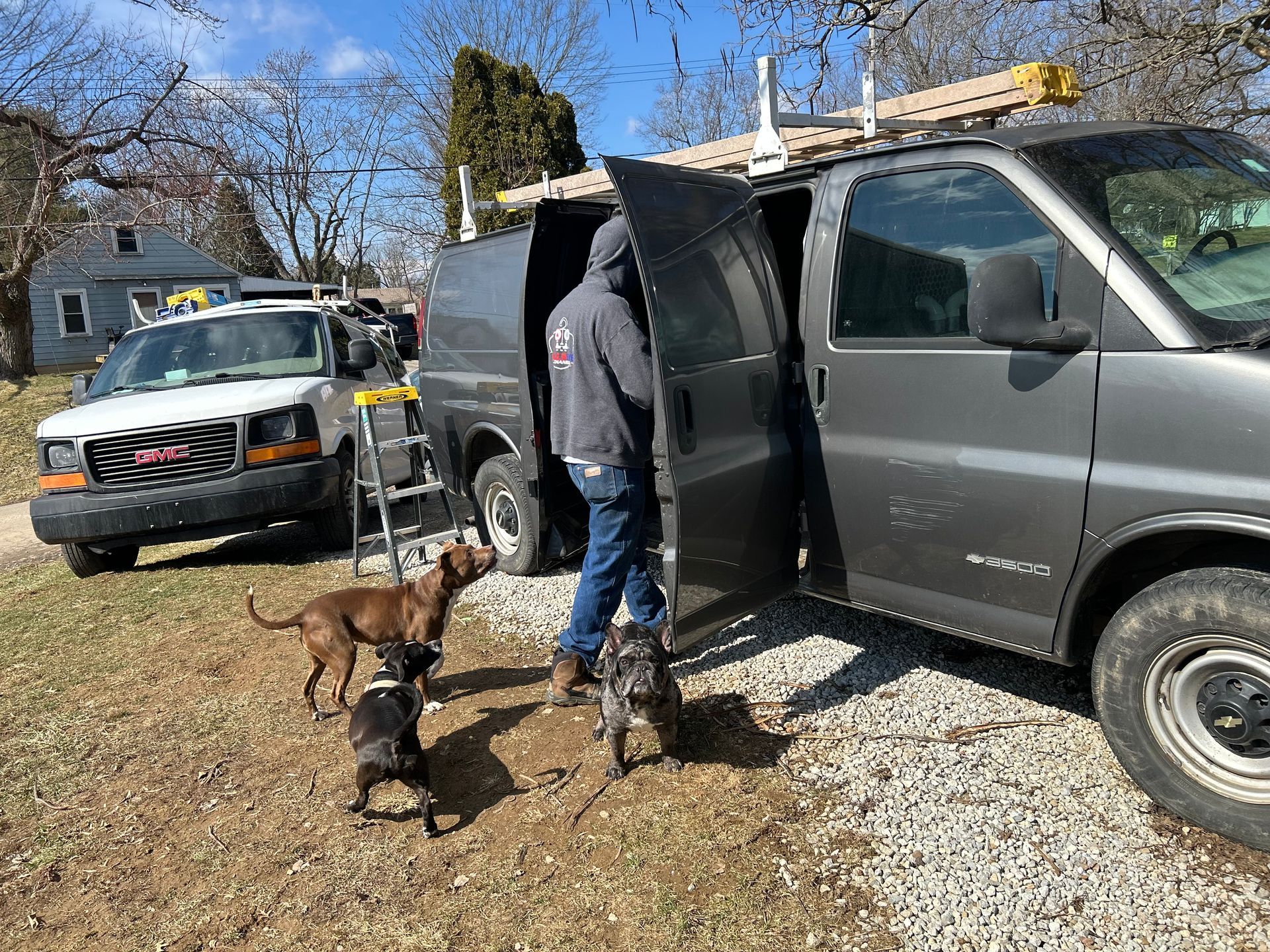 A person wearing a grey hoodie stands by an open grey van parked on gravel, with three dogs nearby and a white truck nearby.
