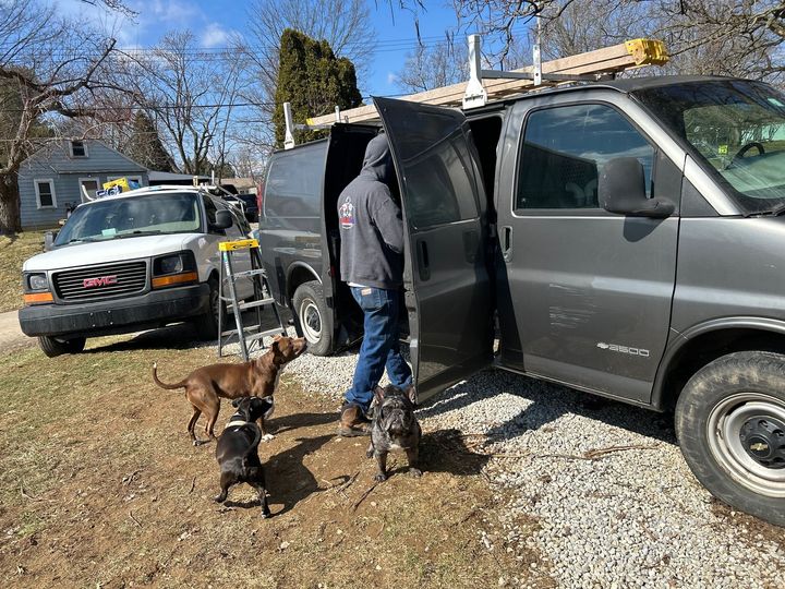 A person wearing a grey hoodie stands by an open grey van parked on gravel, with three dogs nearby and a white truck nearby.