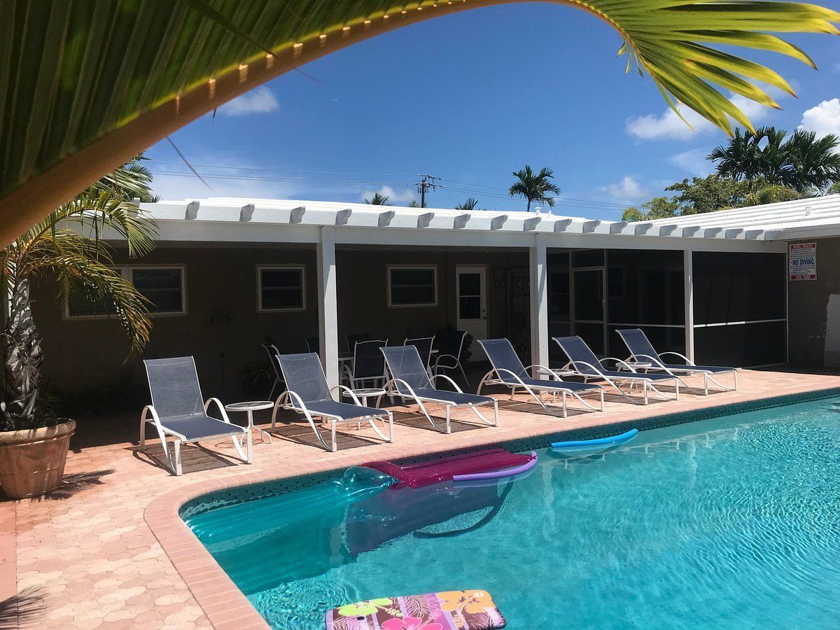 Tropical poolside patio with lounge chairs, palm leaves, and a turquoise swimming pool beside a house