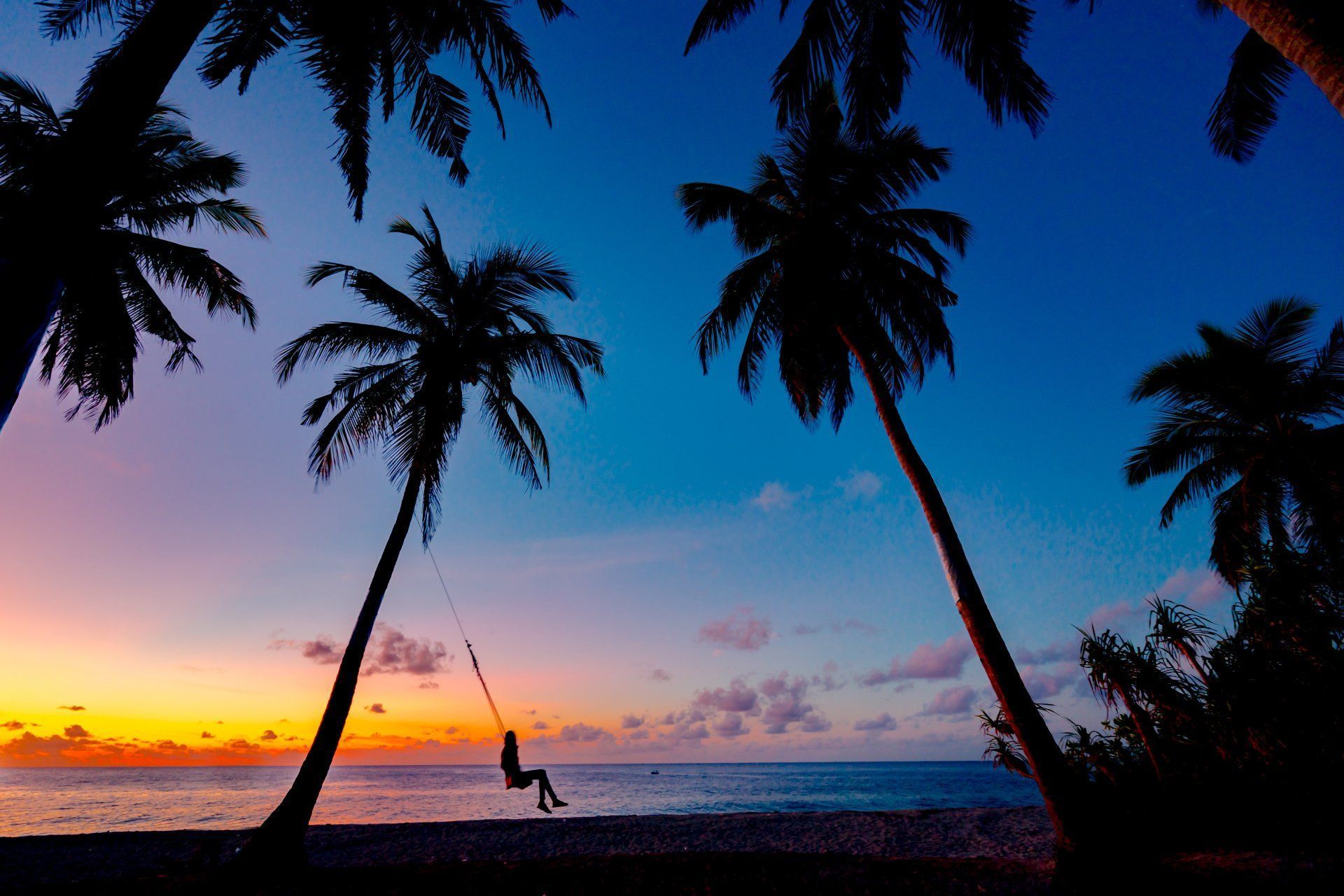 Palm trees silhouetted at sunset over the ocean, with a person swinging above the beach.
