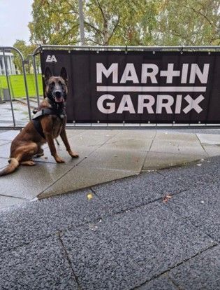 Een hond die voor een Martin Garrix-banner zit