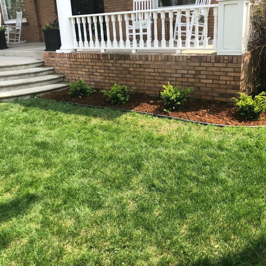 Lush maintained and fertilized lawn by Evergreen Landscaping & Irrigation llc