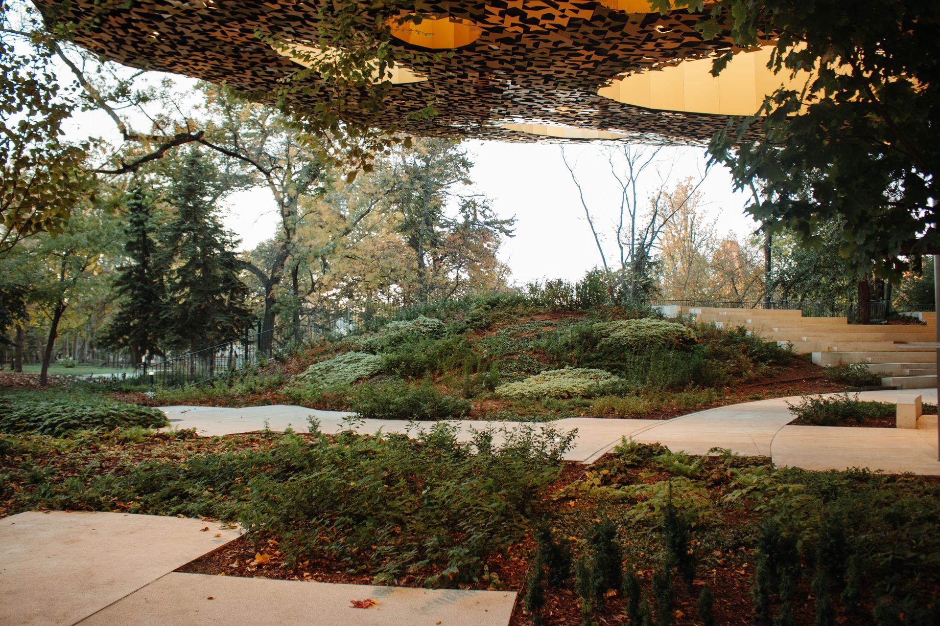 Landscape garden with winding pale paths, low shrubs, and a leafy canopy overhead