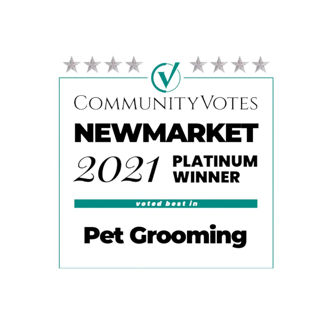 CommunityVotes Newmarket 2021 Platinum Winner badge awarded to Paws in the Bath for best pet grooming services (Aurora, Bradford, Keswick, King City, Newmarket, and Toronto).