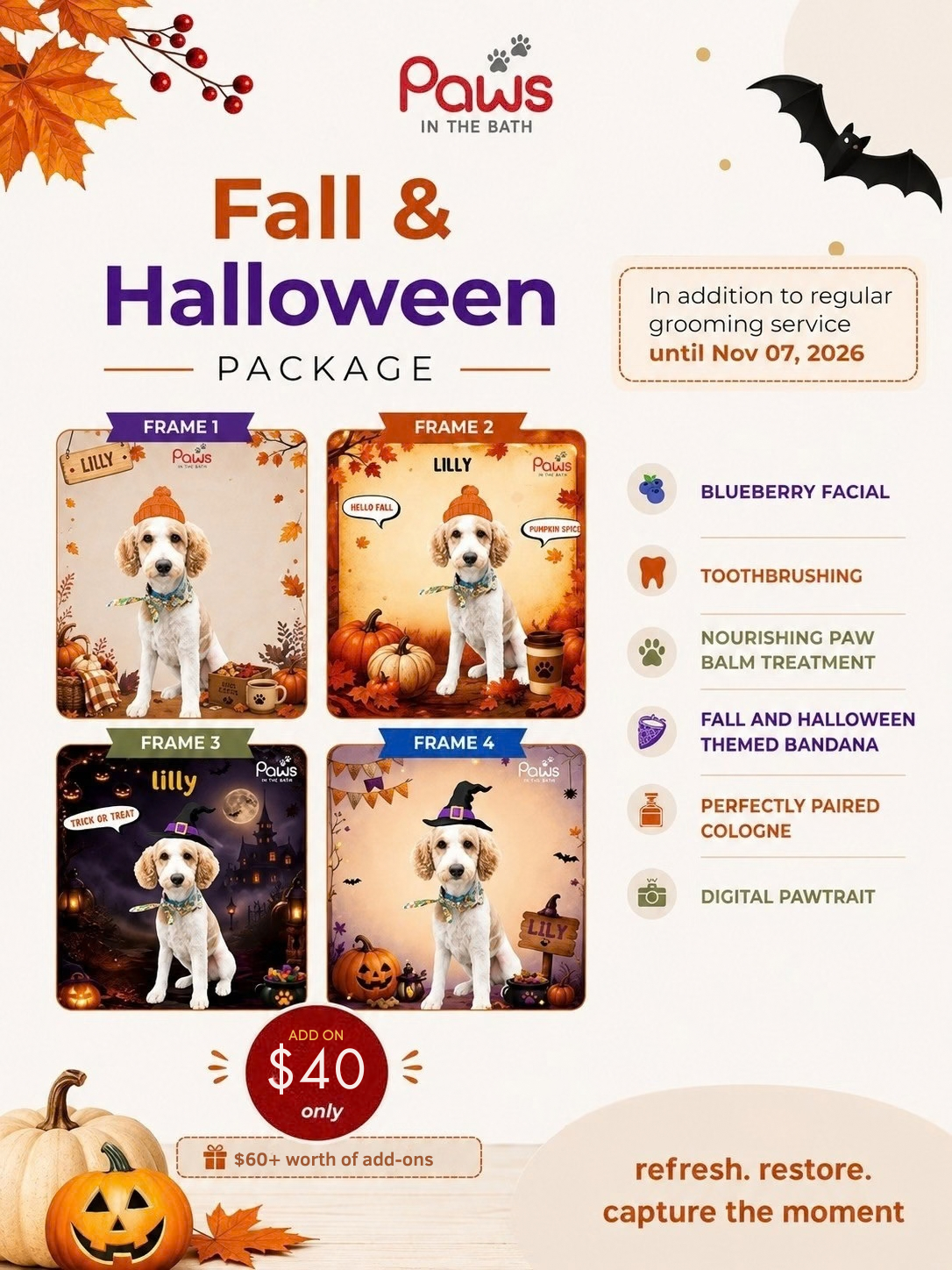 Poster for Paws in the Bath Harvest Paws Package featuring a groomed dog and a list of fall-themed grooming add-ons (Aurora, Bradford, Keswick, King City, Newmarket, and Toronto).