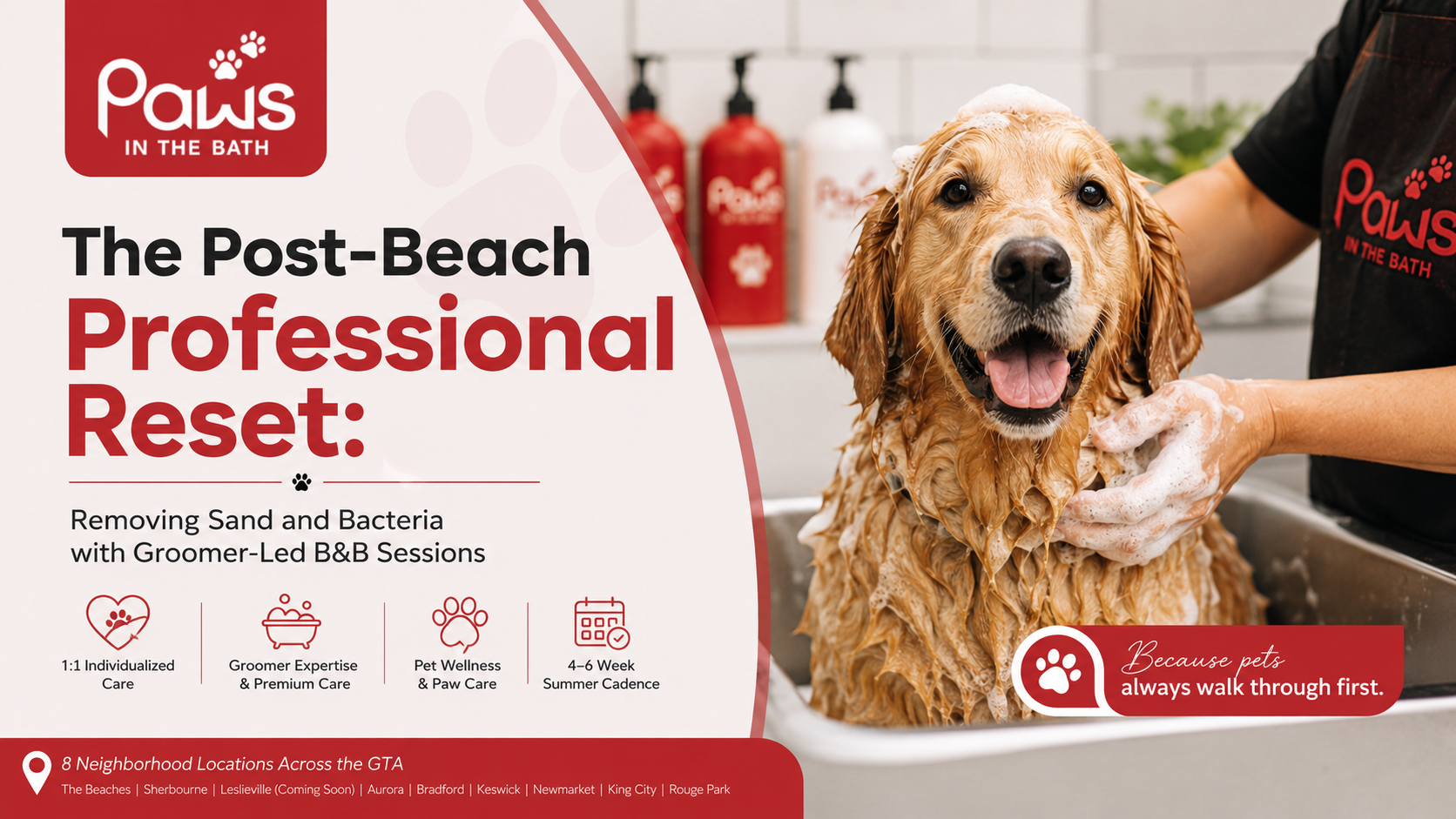 dog grooming Toronto