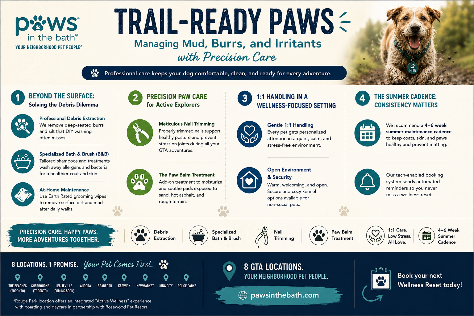 professional paw care