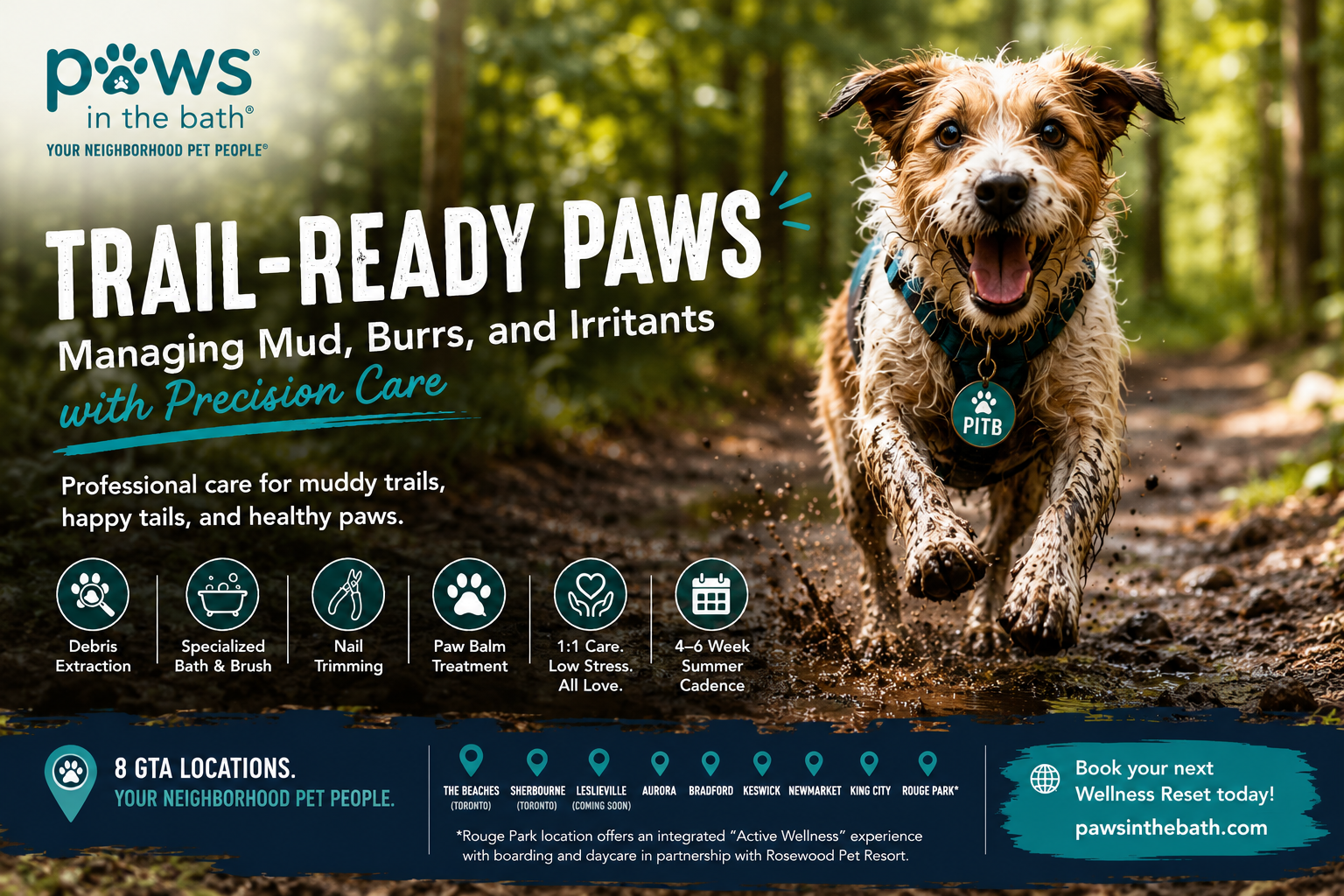 dog grooming Toronto