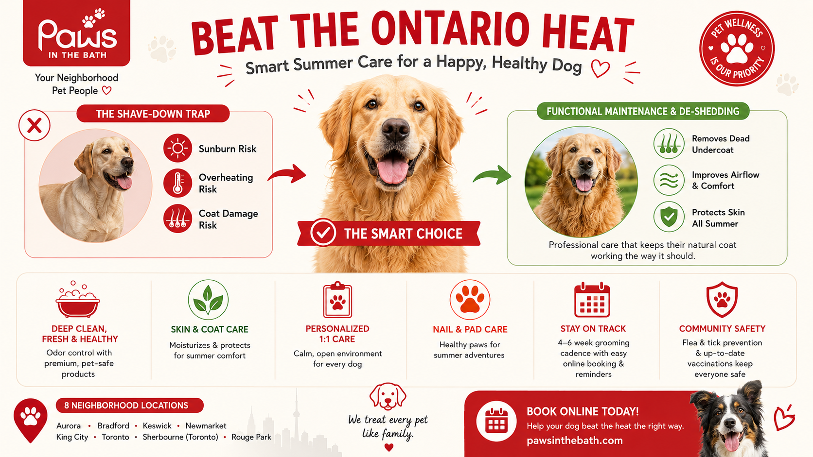 summer dog skin care