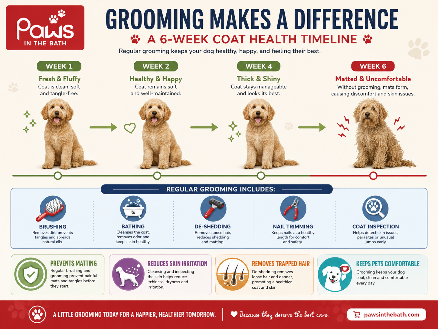professional pet grooming