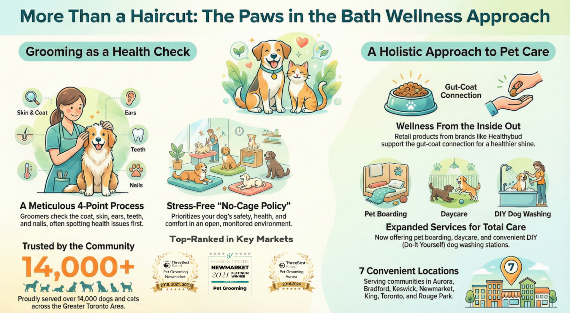 dog grooming in Newmarket