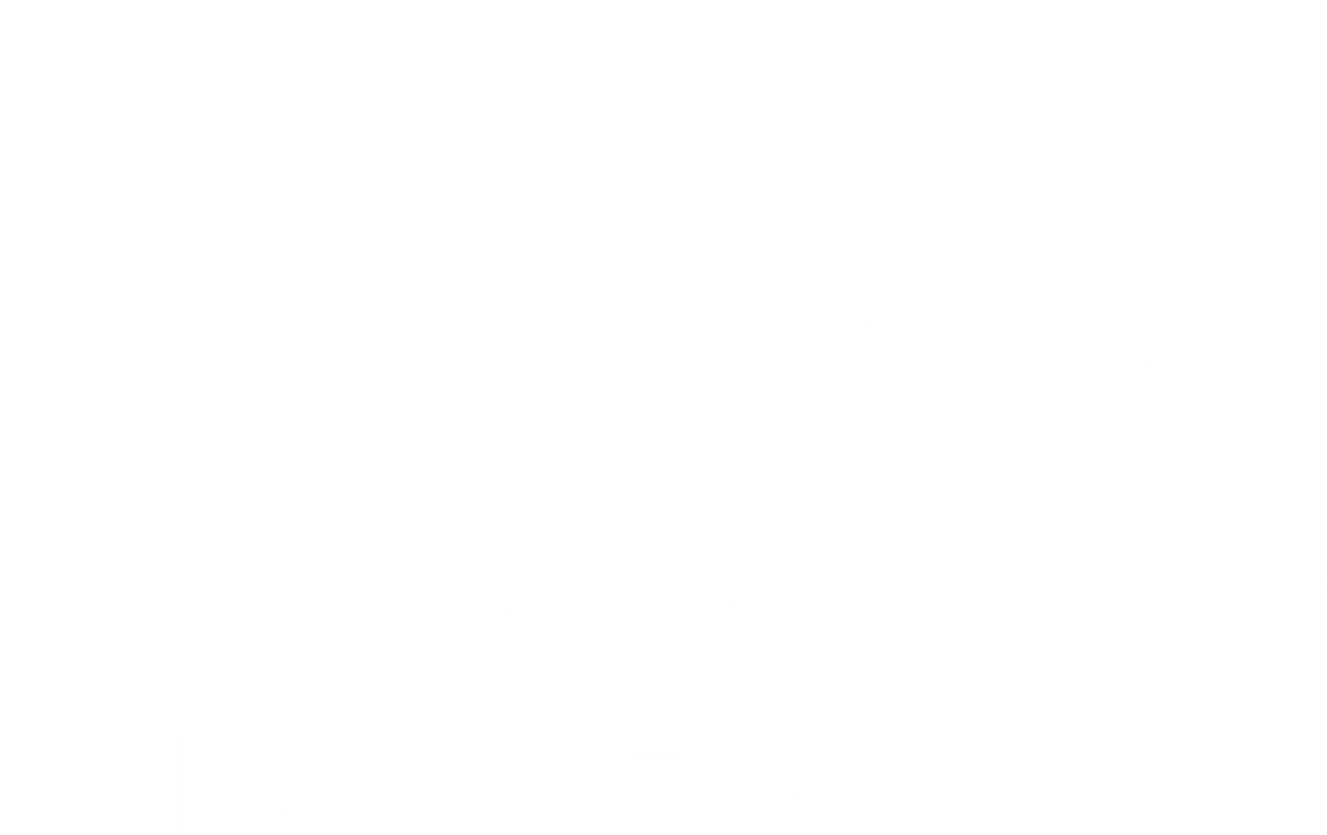 Paws in the Bath logo featuring white text and paw prints on a red background. (Aurora, Bradford, Keswick, King City, Newmarket, and Toronto).