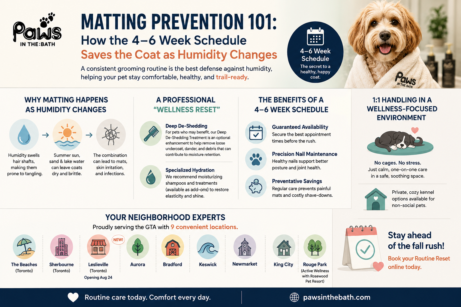 Pet Wellness & Routine Reset