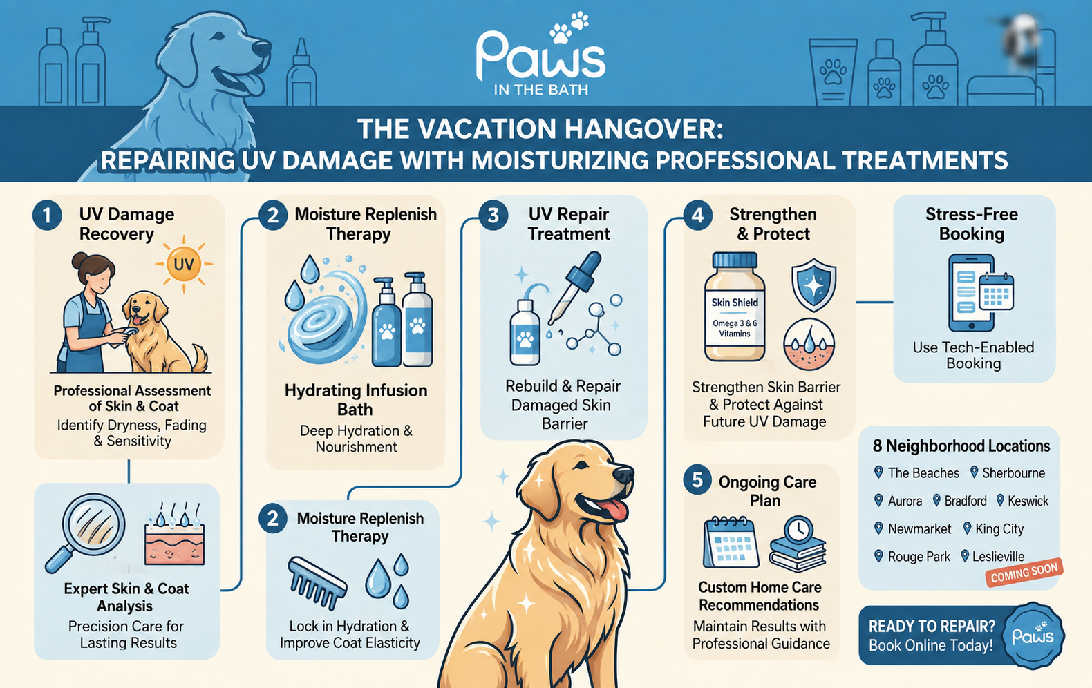 grooming frequency for dogs