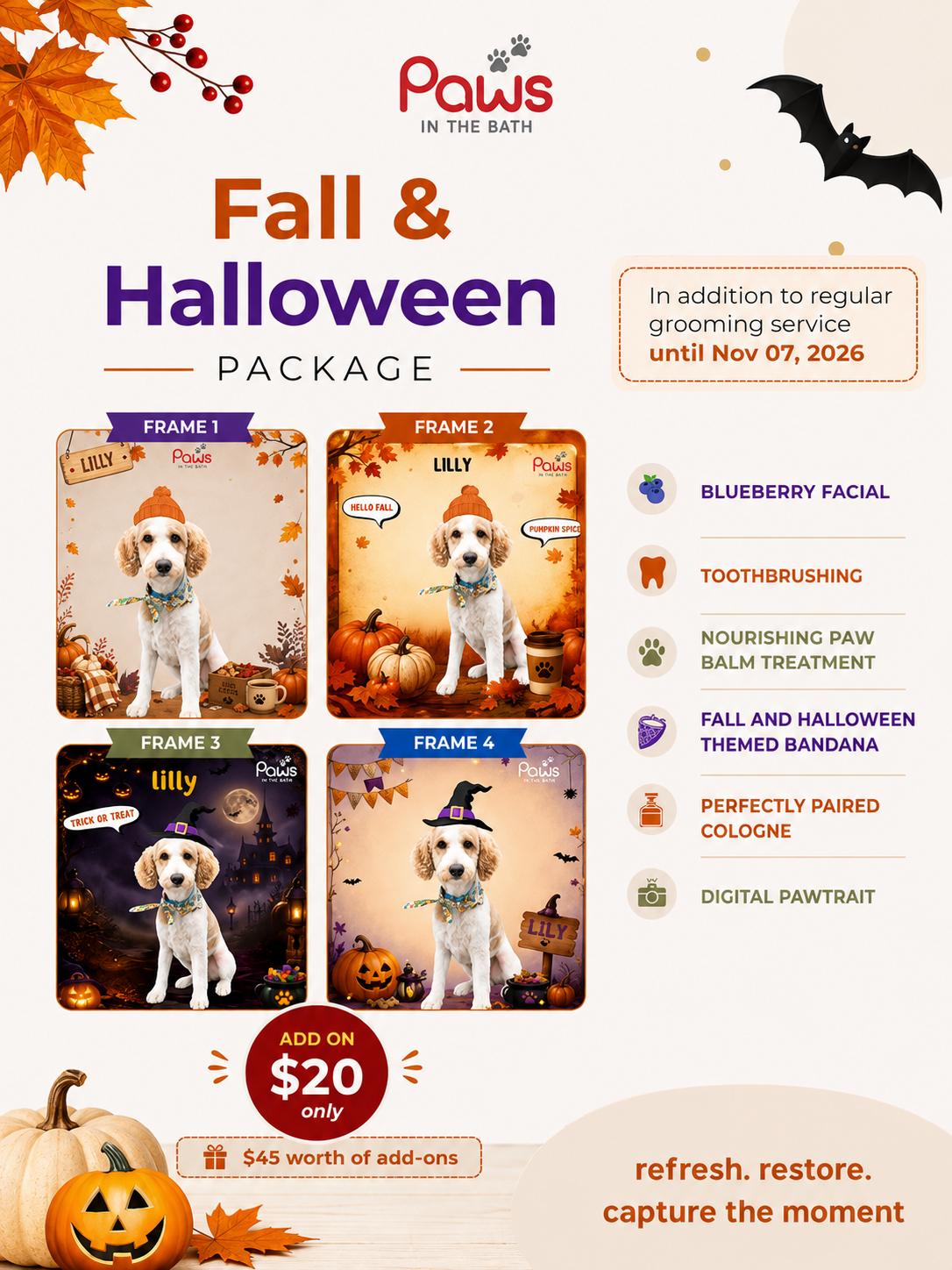 Poster for Paws in the Bath Harvest Paws Package featuring a groomed dog and a list of fall-themed grooming add-ons (Aurora, Bradford, Keswick, King City, Newmarket, and Toronto).