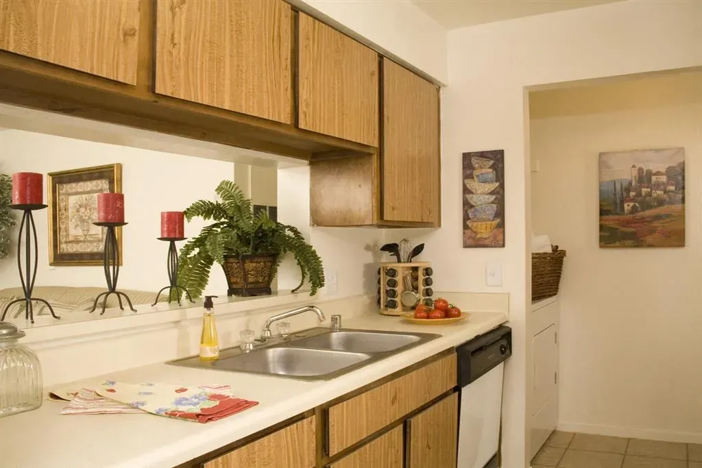 Kitchen with double sink, wooden cabinets, and decorative items.