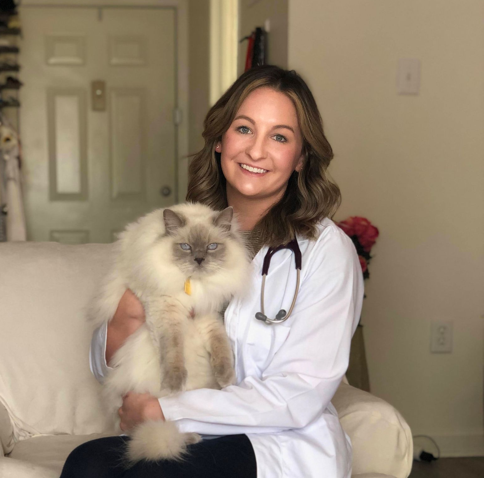 Doctor holding a fluffy gray-and-white cat in a cozy room, smiling at the camera.