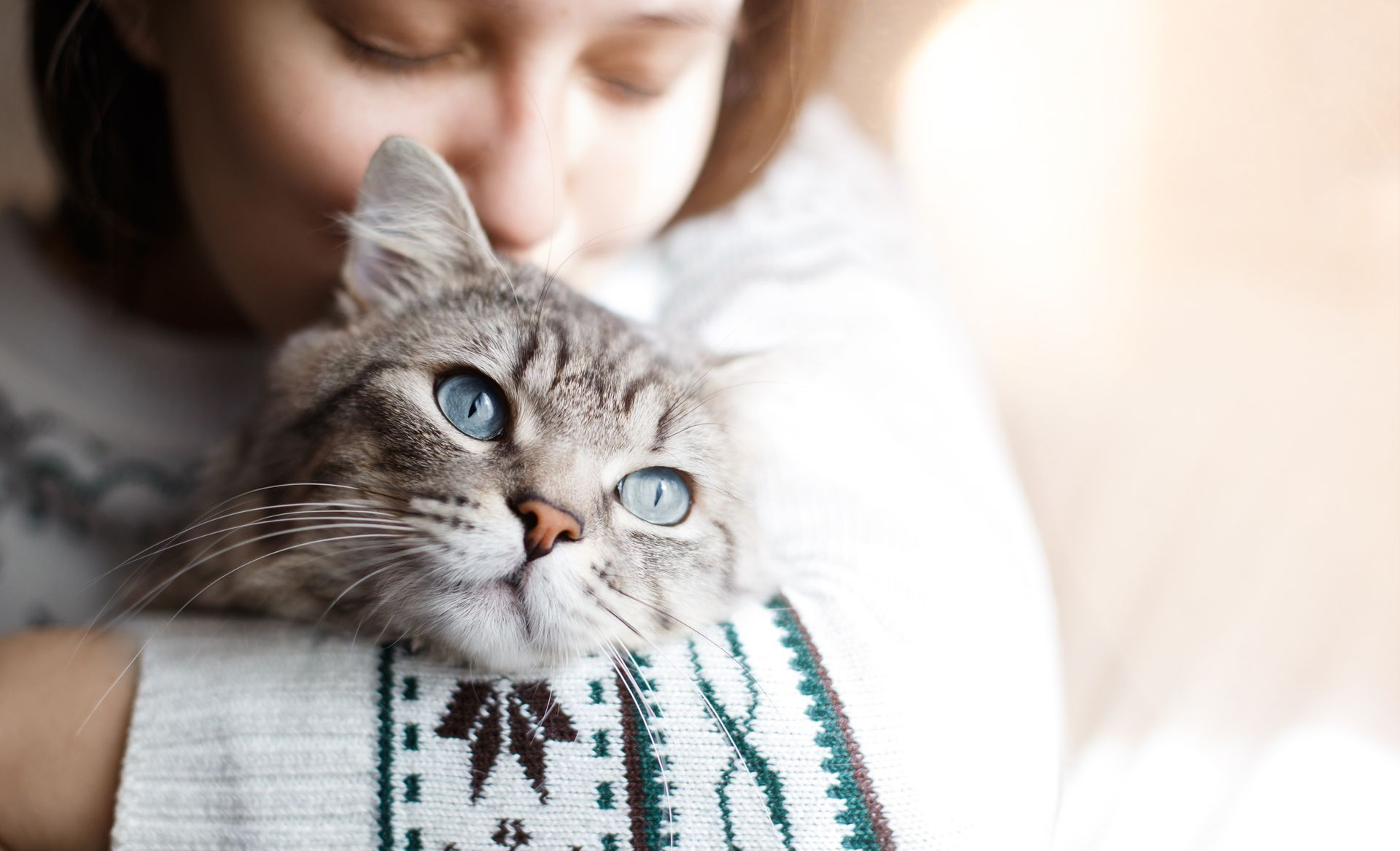 Child cuddling a gray tabby cat wrapped in a patterned blanket