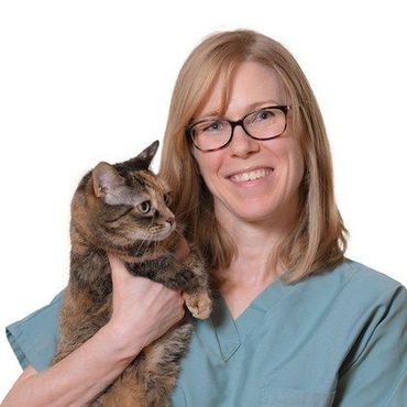Woman in blue scrubs holding a tabby cat against a white background