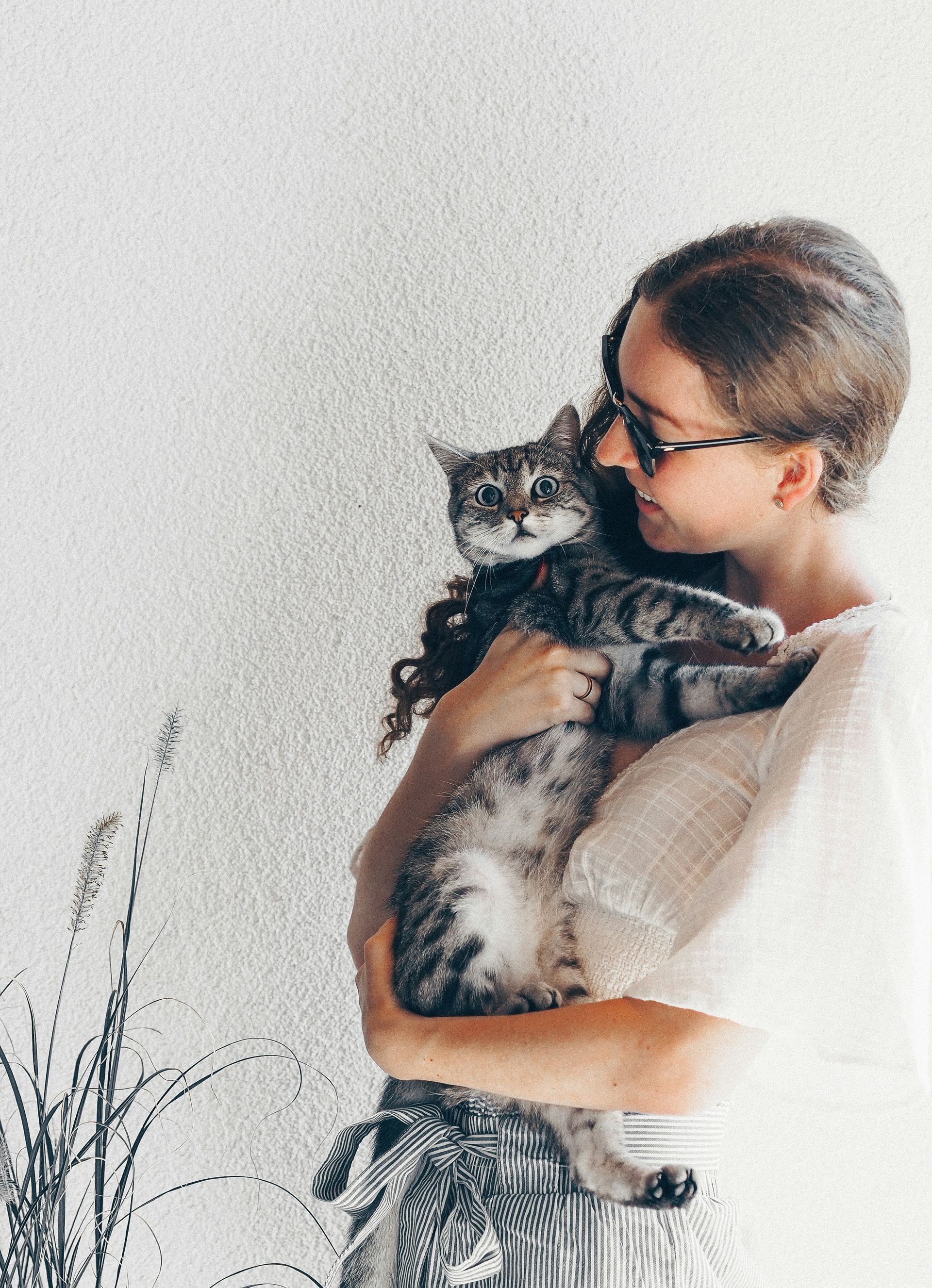 Person holding a gray cat while nuzzling it against their face, against a light wall.