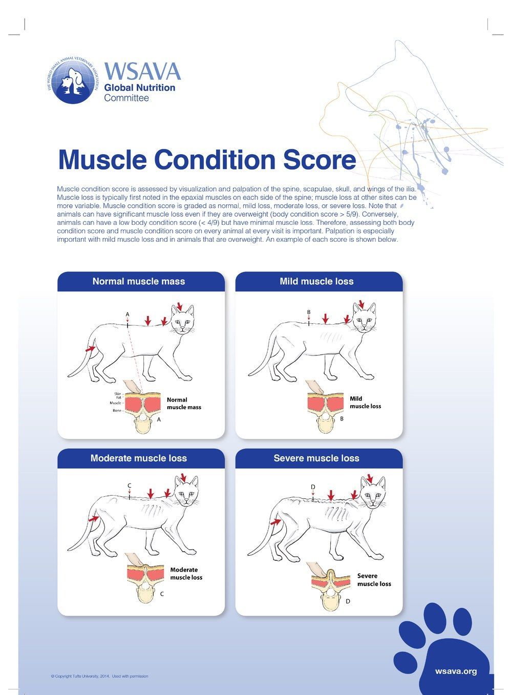 Muscle Condition Score poster with four dog body diagrams and pain point markers on a white-blue background