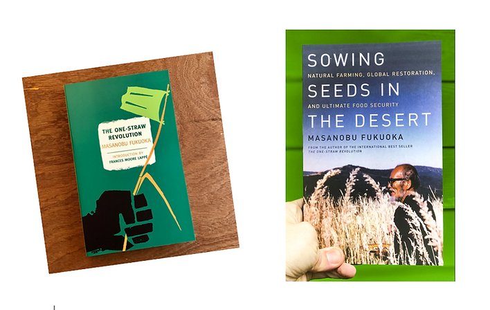 A person is holding a book titled sowing seeds in the desert