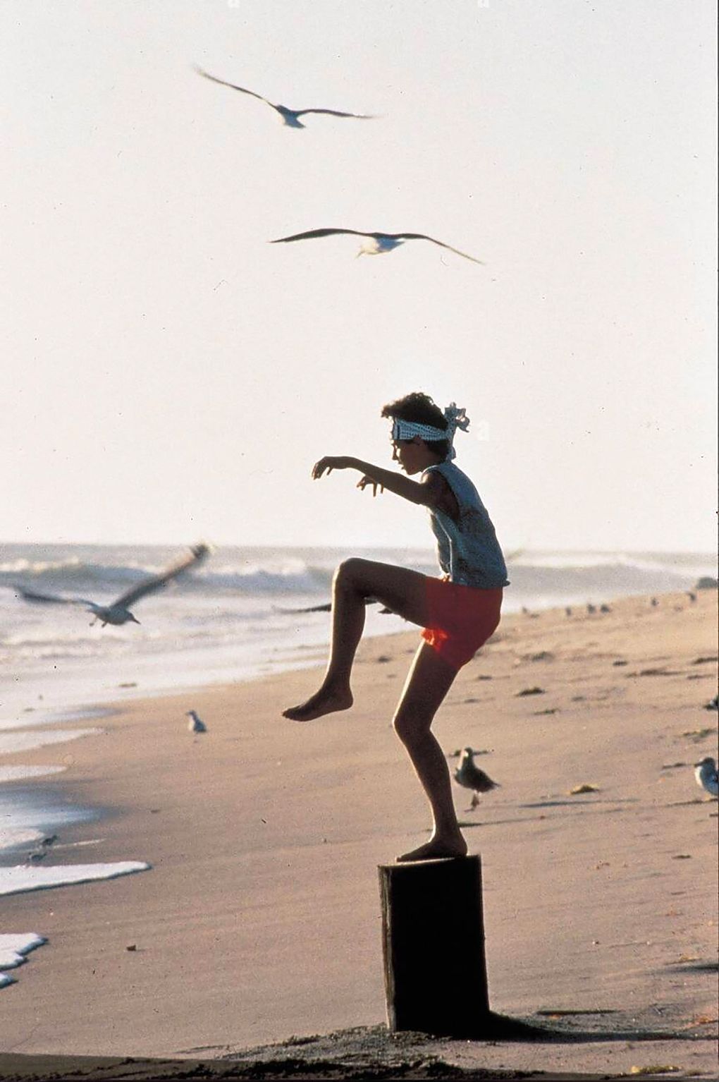 karate zarautz niños