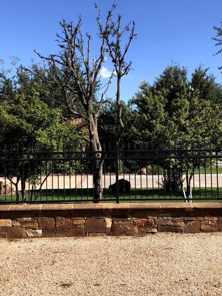 A stone wall with a black fence and trees against a blue sky.