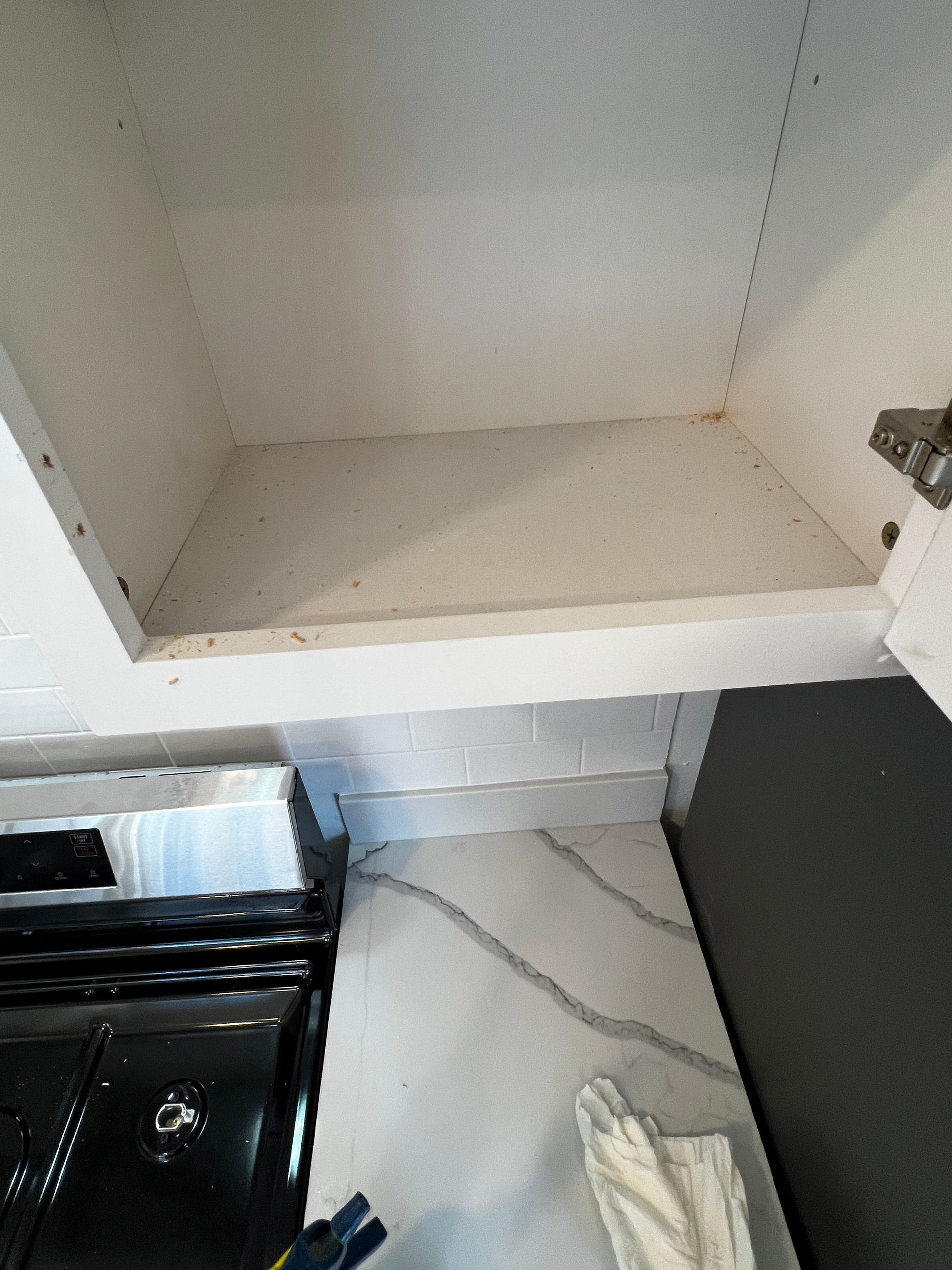 A&J Janitorial Services, San Pablo CA, El Cerrito CA, Richmond CA, Berkeley CA, Albany CA, Pinole CA, Lafayette CA, Vallejo CA, El Sobrante CA, Hercules, Concord CA, Benicia CA, Martinez CA, Walnut Creek CA, Orinda CA, Emeryville CA, Oakland CA, Pleasant Hill CA, Alameda CA, Tara Hills CA, Janitorial Services, Janitorial Services Near Me, Janitorial Company, Janitorial Company Near Me, Medical Office Janitorial, Medical Office Cleaning Services, Dental Office Janitorial, Dental Office Cleaning Services, Church Janitorial, Daycare Janitorial, Daycare Center Cleaning Services, Office Janitorial, Office Cleaning Services, School Janitorial, School Cleaning Services, Bank Janitorial, Bank Cleaning Services, Government Facilities Janitorial, Commercial Cleaning, Carpet Cleaning, Carpet Cleaner Near Me, Commercial Carpet Cleaning, Carpet Cleaning Company, Pressure Washing, Commercial Pressure Washing, Parking Lot Pressure Washing, Driveway Pressure Washing, Patio Pressure Washing, Walkway Pressure Washing, Sidewalk Pressure Washing, VCT Floors, VCT Floor Stripping, VCT Floor Waxing, Stain Wash Wood Floors, Cleaning Vacant Properties, Foreclosure Cleanouts, Apartment Cleaners Near Me, Apartment Cleanout, Apartment Move Outs, Apartment Building Cleaning Services, Electrostatic Disinfecting