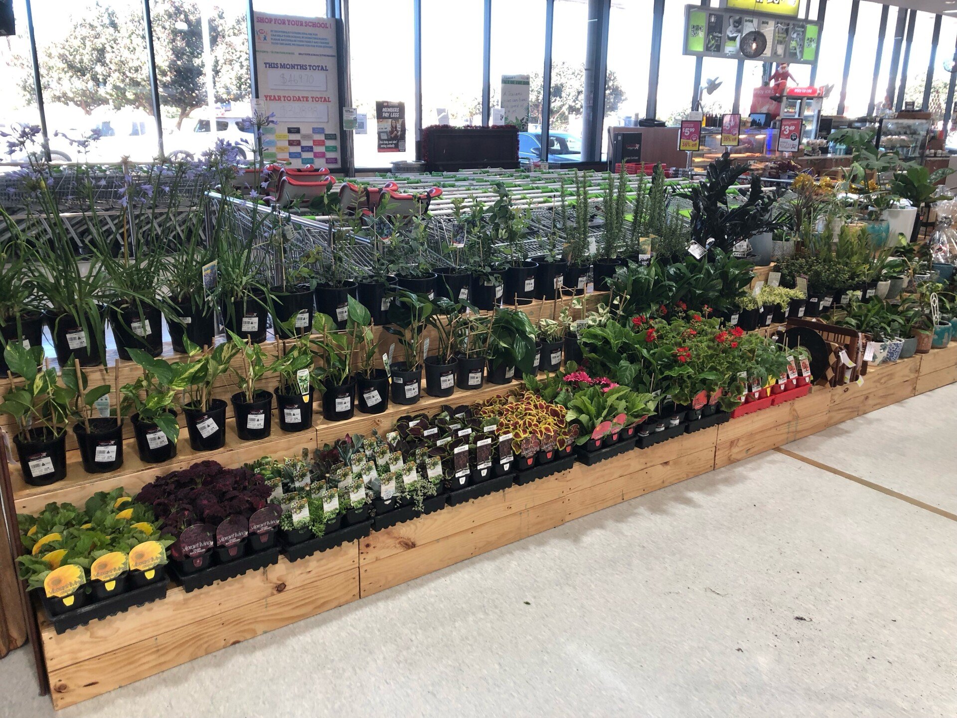 Timber Crates in Perth 1/2 Price Pallets