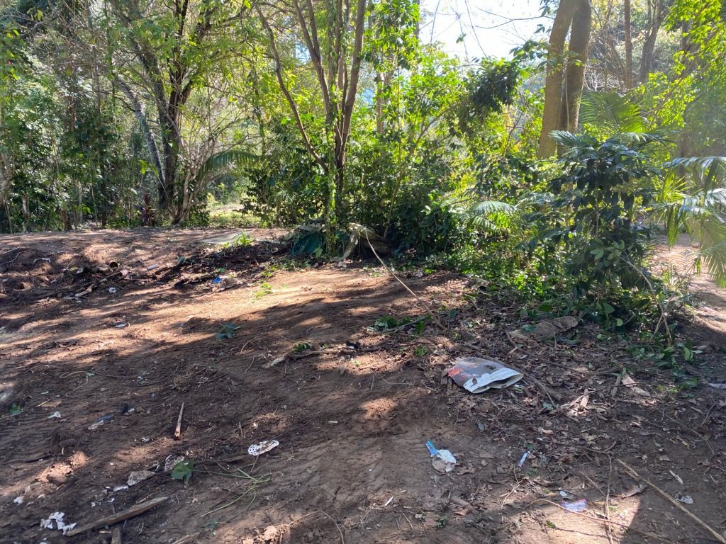 A Dirt Road In The Middle Of A Forest With Trees In The Background — Tweed Byron Recycling In Tweed Heads, NSW