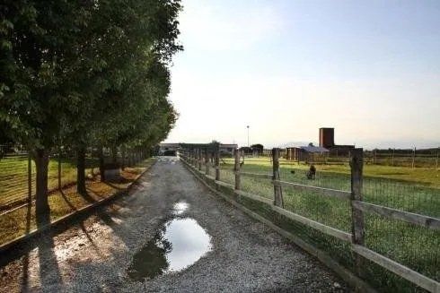 Un sentiero di ghiaia con una pozzanghera attraversa un campo erboso delimitato da staccionate di legno e da una fila di alberi al tramonto.