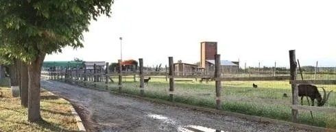 Un sentiero sterrato costeggia un pascolo recintato dove pascola una capra e, in lontananza, si scorge un edificio agricolo sotto un cielo luminoso.