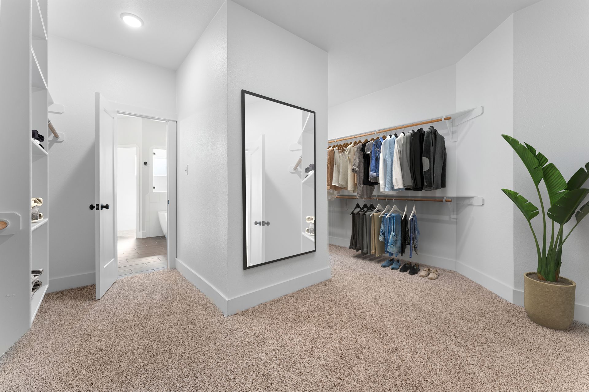 Walk-in closet with beige carpet, white walls, clothes racks, and a full-length mirror. A potted plant is on the right.