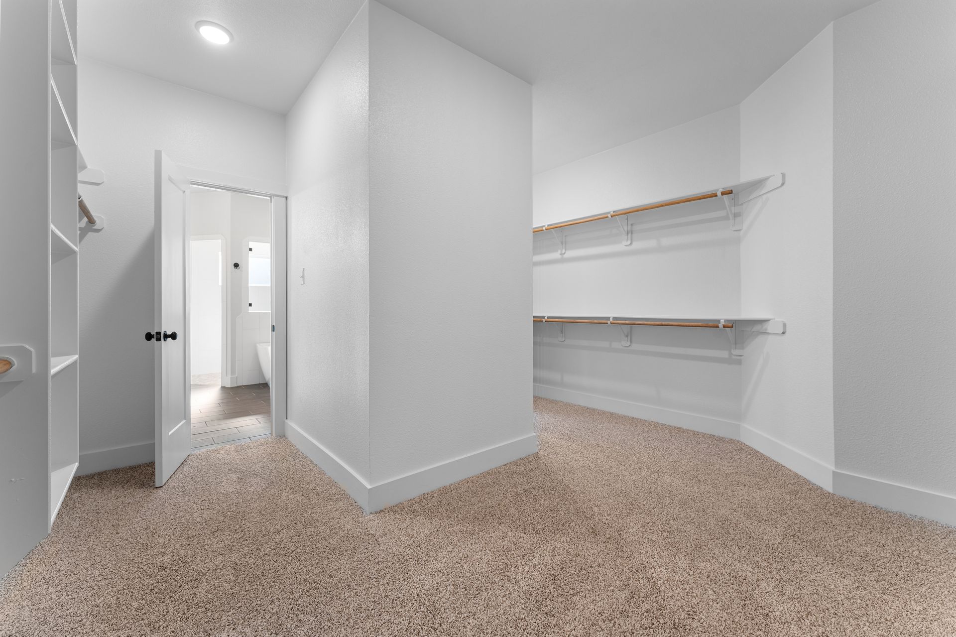 Empty walk-in closet with shelves and tan carpet. Door to bathroom visible. White walls.
