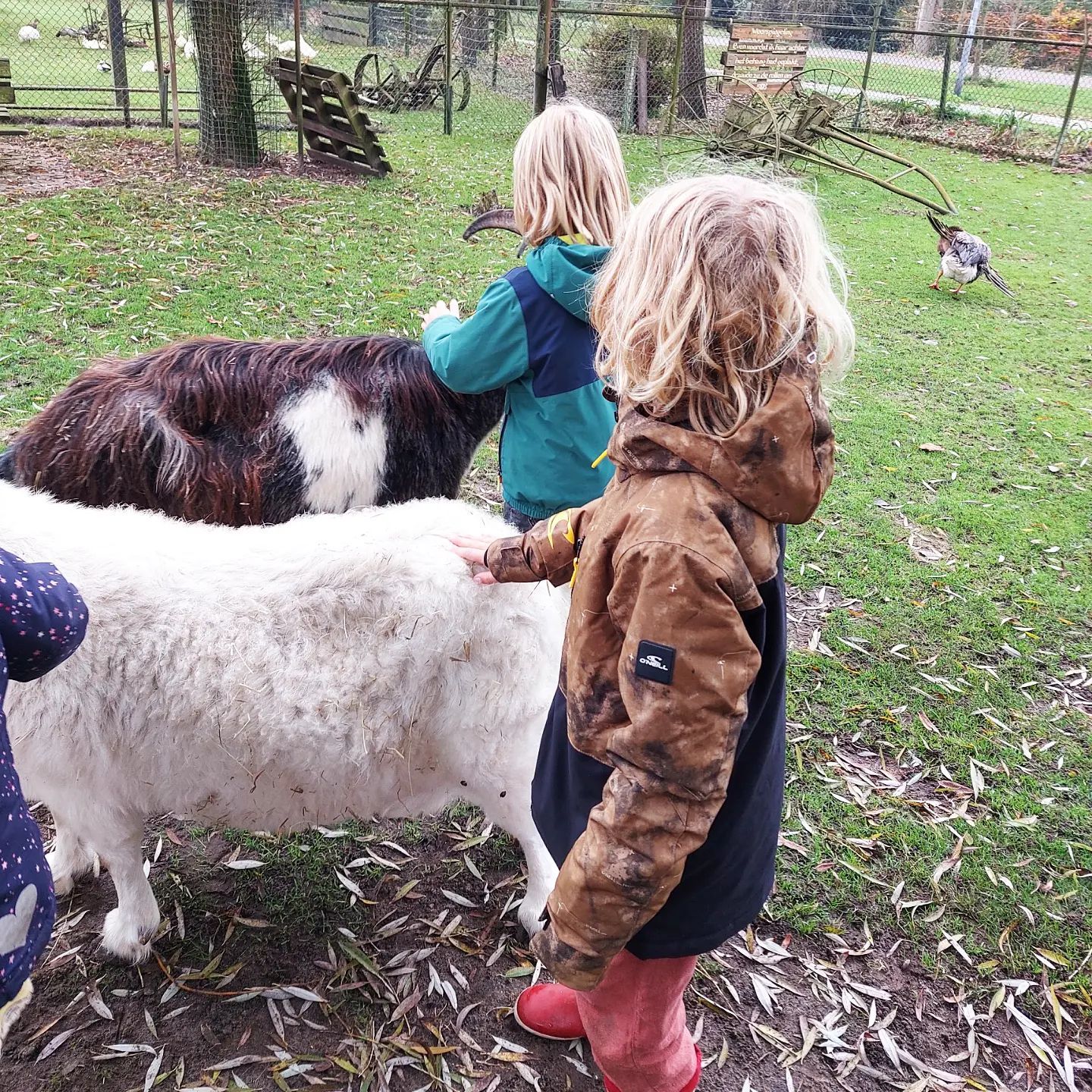 op stap met de BSO