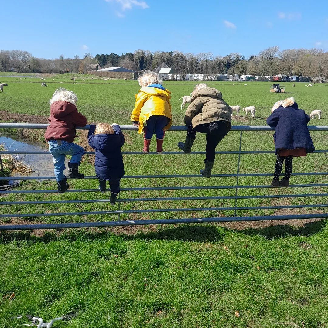 wandelen tussen de weilanden