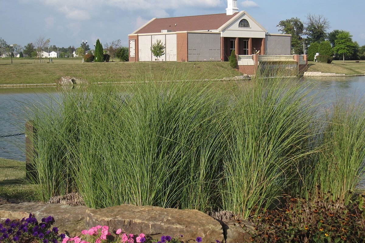 Hamilton Memorial Park Outside Pond