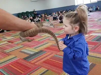 On-Site Interactive Wildlife Show | School and Group Camps