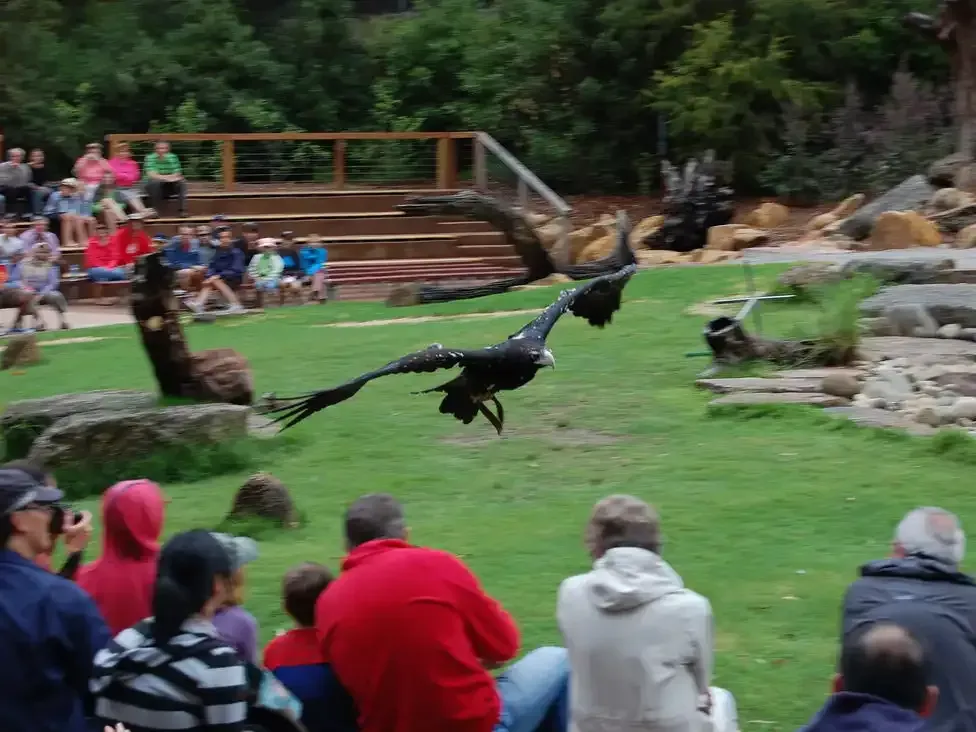 Healesville Sanctuary | School and Group Camps