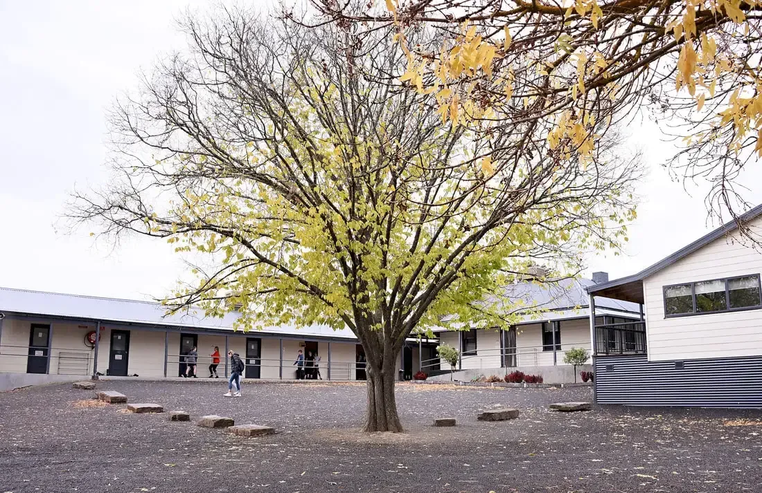 Bunk Accommodation at Alexandra Adventure Resort | School and Group Camps