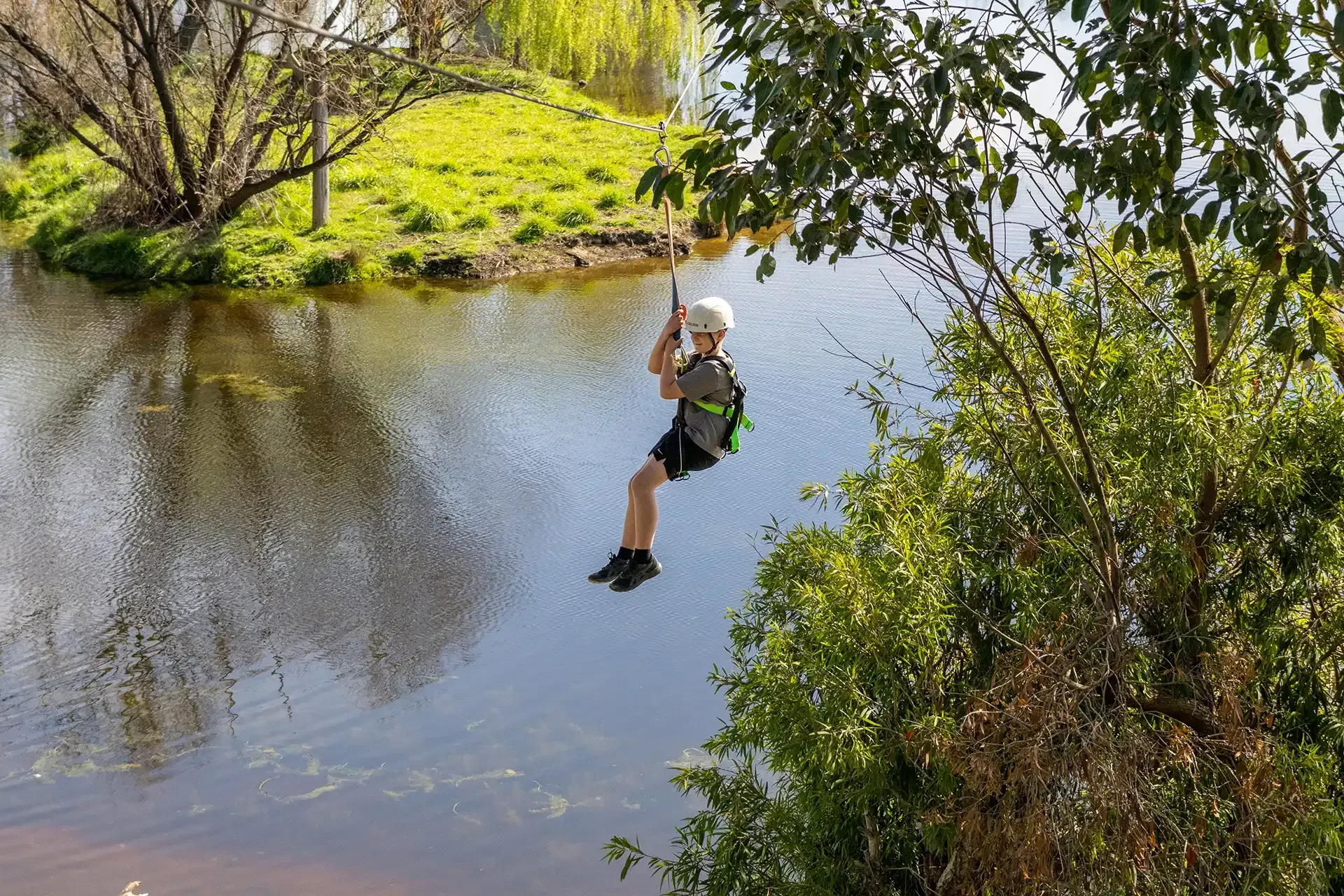 Flying Fox at Alexandra Adventure Resort | School and Group Camps