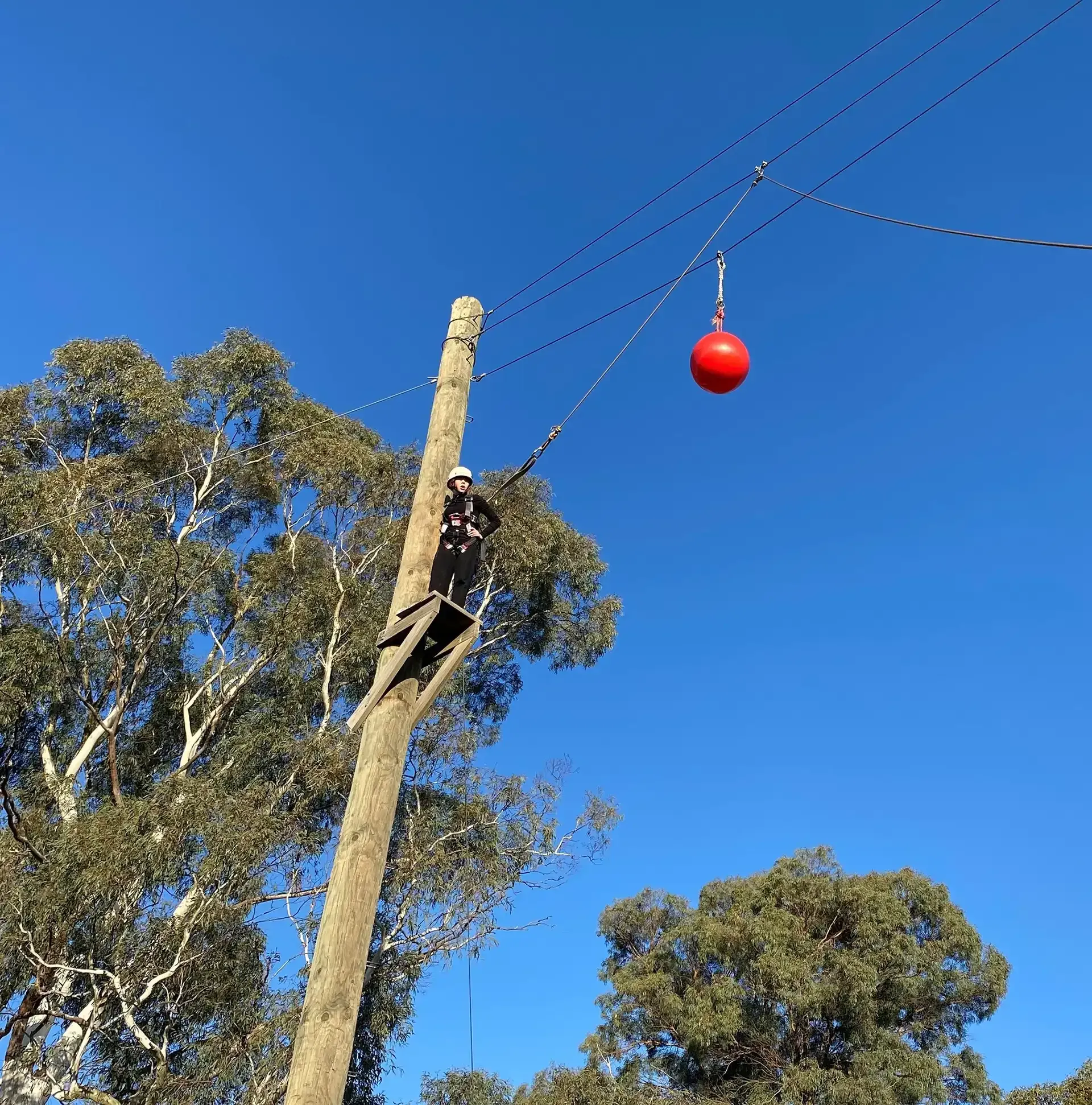 Leap of Faith at Alexandra Adventure Resort | School and Group Camps